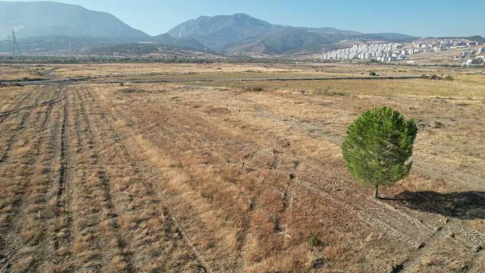 Manisa'da BYD'ye tahsis edilen arazi bomboş duruyor