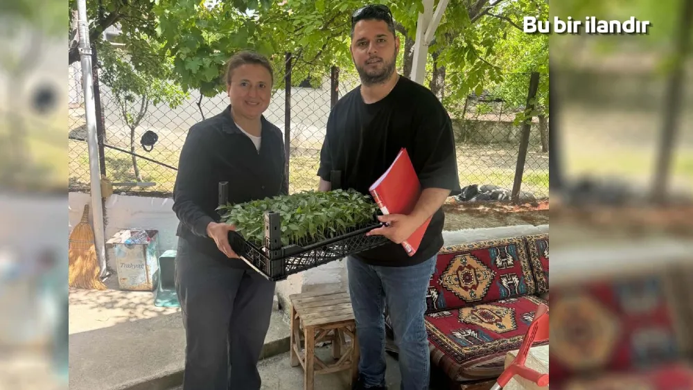 Urla’da üreticiye 100 bin yazlık sebze fidesi desteği
