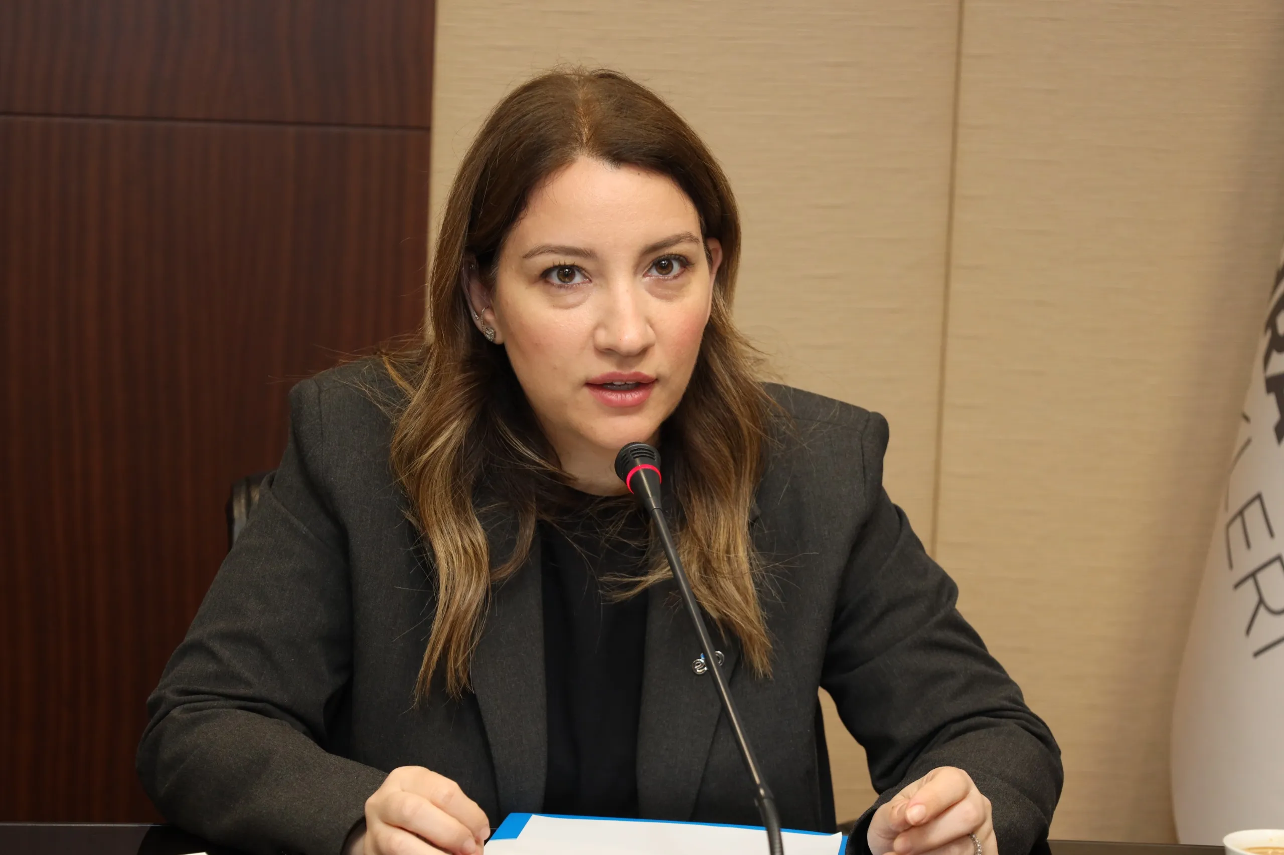 Birlik Denetim Kurulu Üyesi Gizem Dönmez Gürkan