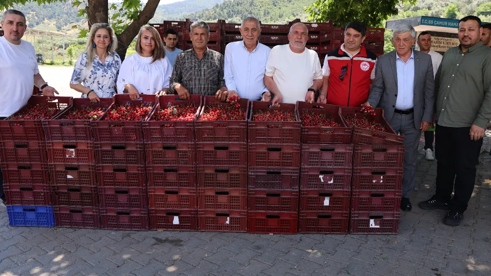 Salihli kirazına sürdürülebilirlik denetimi