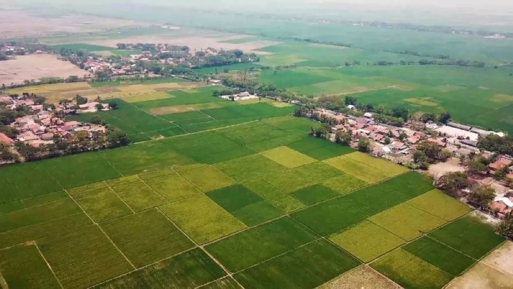 Çevre Bakanlığı’ndan İzmir’de milyarlık satış