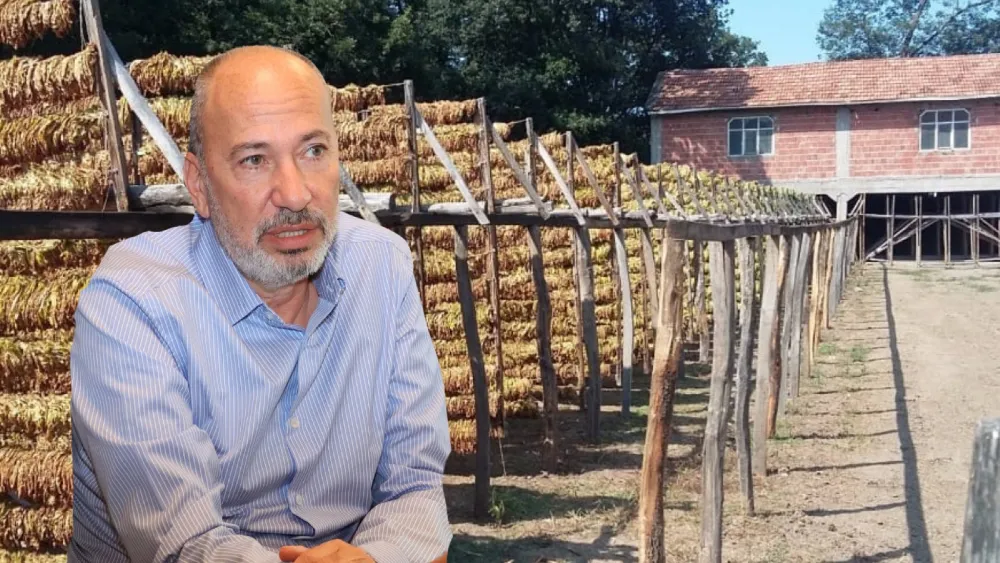 Ege Tütün İhracatçıları Birliği Başkanı Selim Jimi, ihracatta yükselen rakamların bir bölümünün artan maliyetlerin fiyatlara yansımasından kaynaklandığını söyleyerek, rekabetçilikle ilgili endişelerini dile getirdi