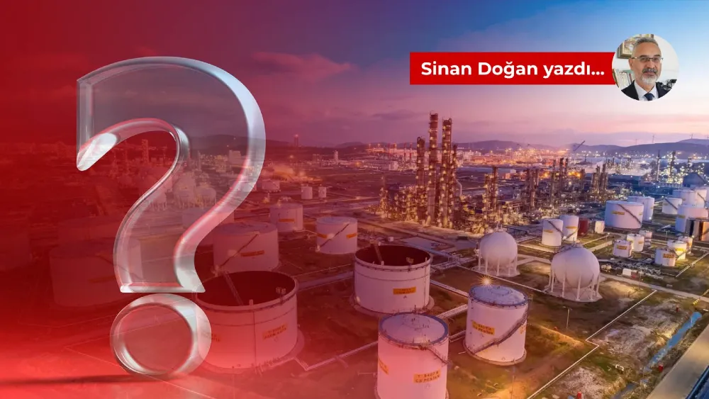 Yatırım şartıyla özelleştirildiği tarihten bu yana sürekli eriyen Petkim, adeta komaya sokuldu