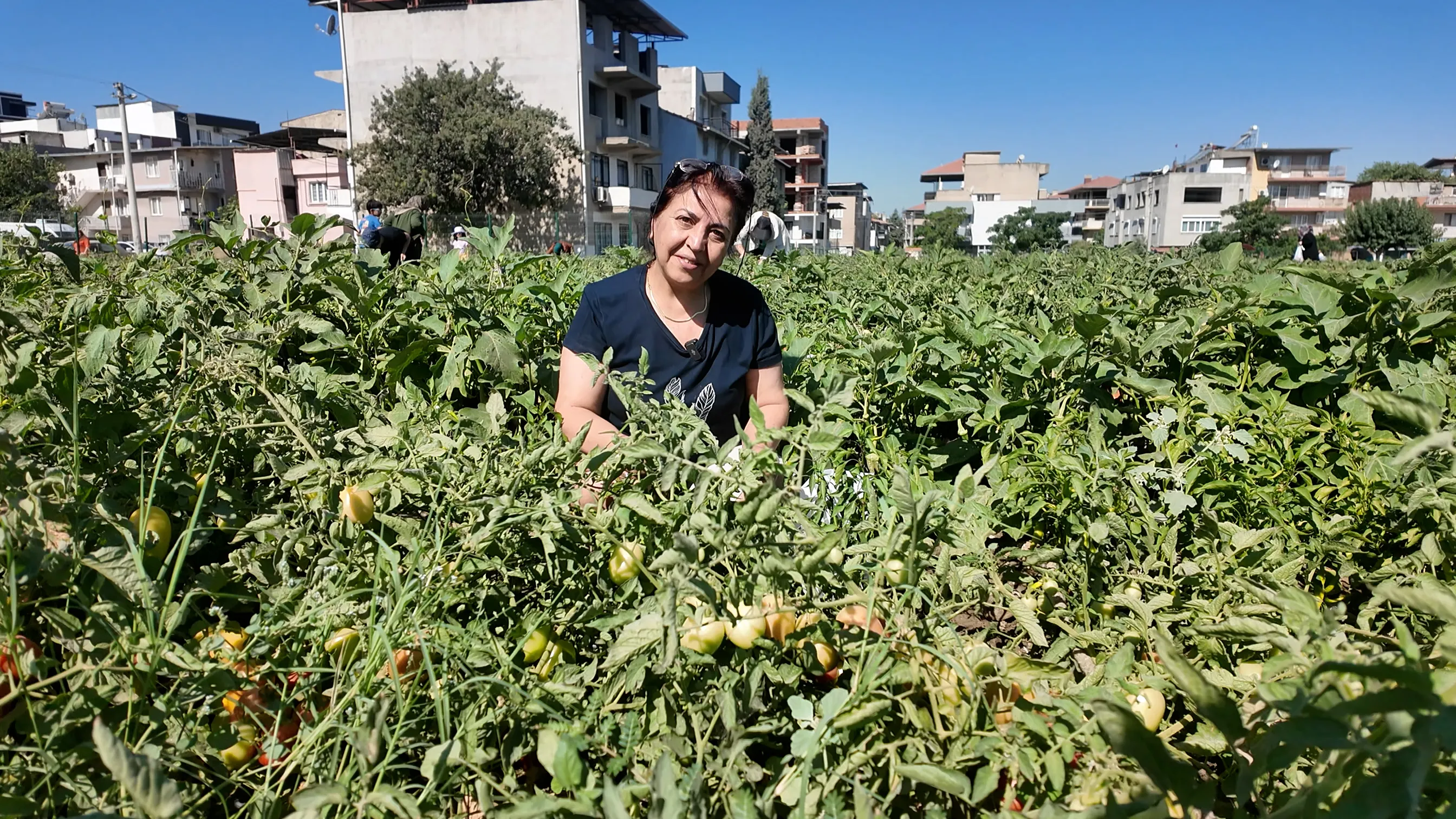 Selvi Aydın