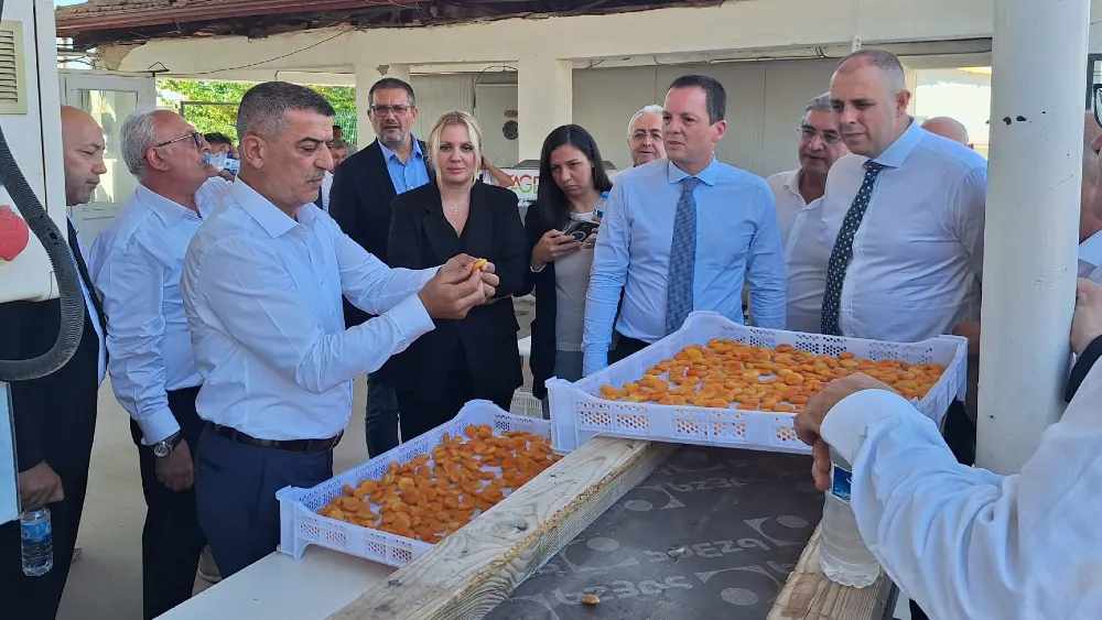 Kuru kayısıda yaraları sarmak için Malatya’da ortak buluşma