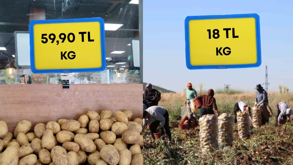Soğandan sonra patates de uçtu… Tarlada 18 TL, markette 60 TL