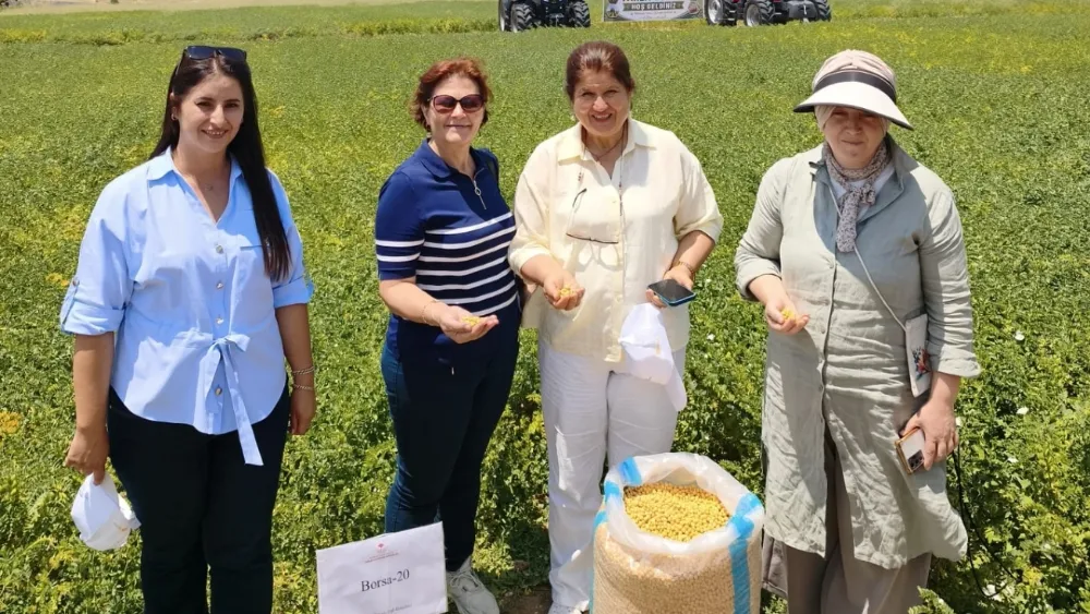 Denizli’nin nohuttaki tohumu Borsa-20'nin başarısı il sınırını aştı