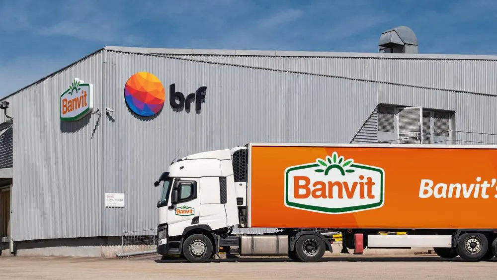 Piliç devinden şok bilanço... Zararı yarım milyar TL’ye kanatlandı