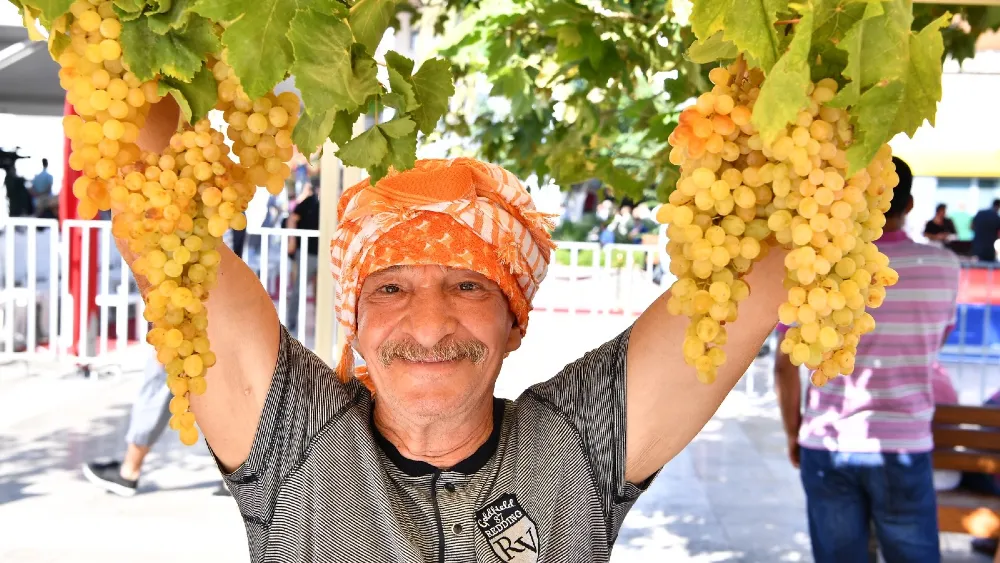 Urla’da 2600 yıllık gelenek; Bağbozumu Şenlikleri başlıyor