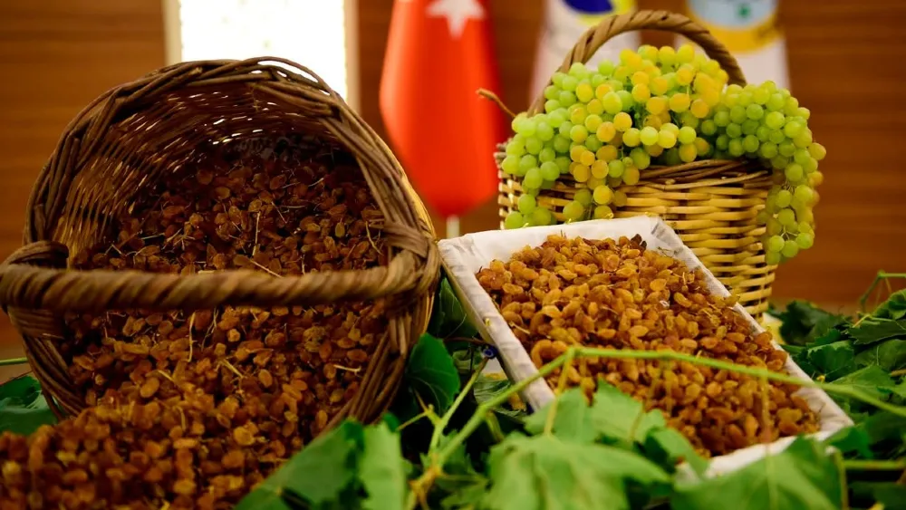 Ege’nin kuru üzümünde ‘kusursuz fırtına’