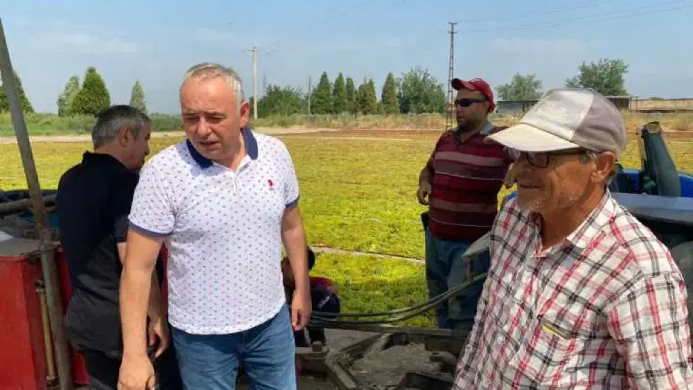 Çiftçi elindeki ürününü satamazken, Özbekistan’dan binlerce ton üzüm getirildi