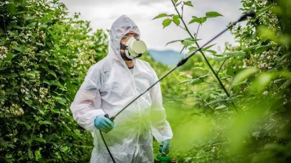 19 bitki koruma firmasına soruşturma… Aralarında İzmirli Agrobest de var