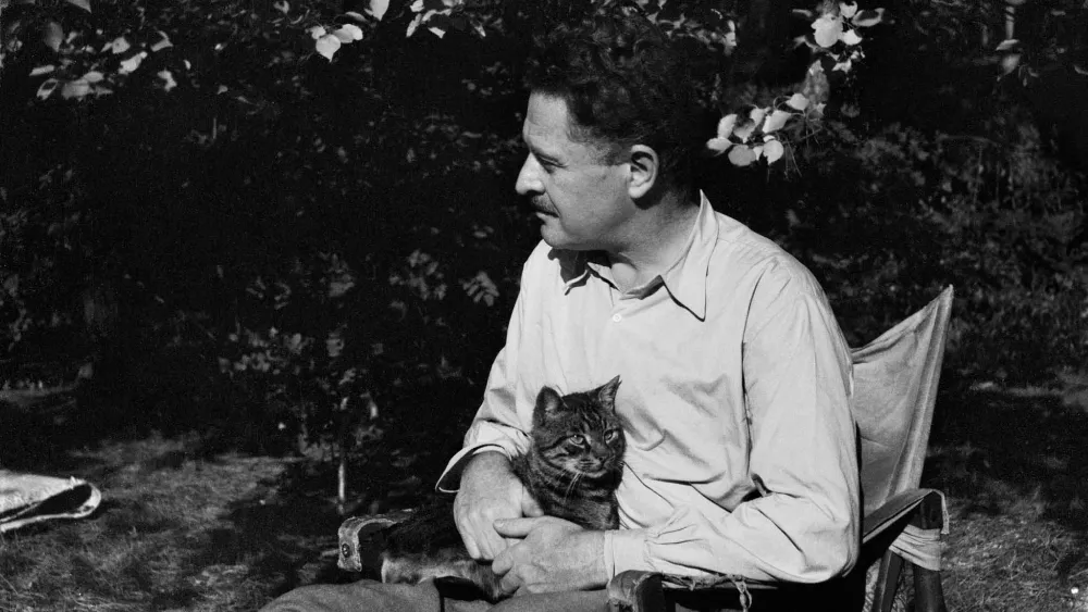 İEF'de Nâzım Hikmet’in yaşamına çok katmanlı yolculuk 