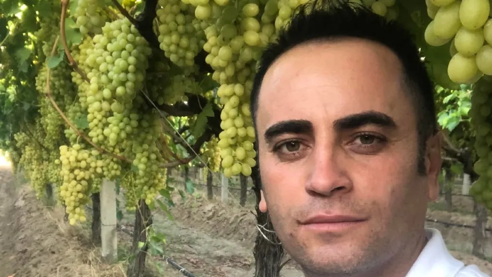 Üzümde kriz derinleşti: 5 TL’lik ürüne bile dönüp bakan yok