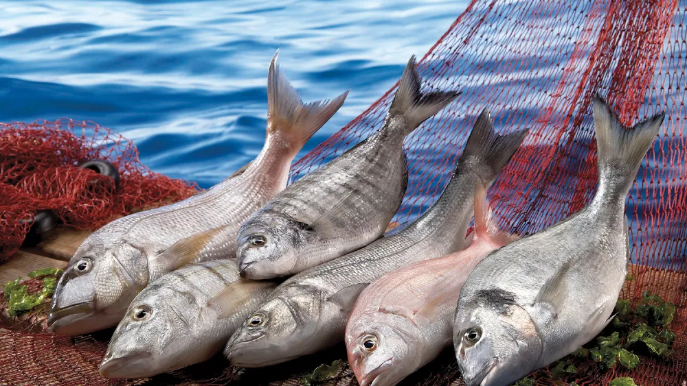 Su ürünleri sektörü İzmir Future Fish Eurasia’da buluşuyor