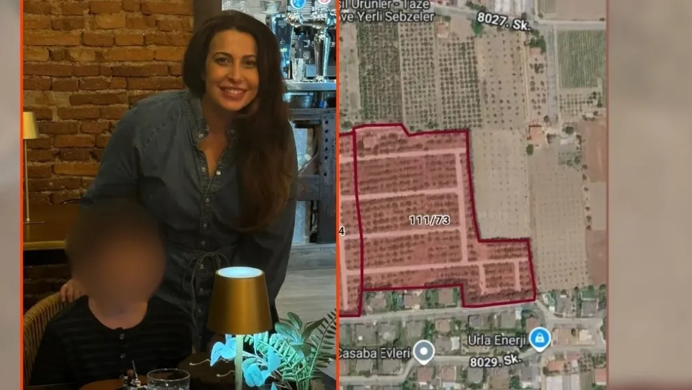 Urla’daki arazisindeki 250 zeytini kesip parsel parsel satışa çıkarmışlar!