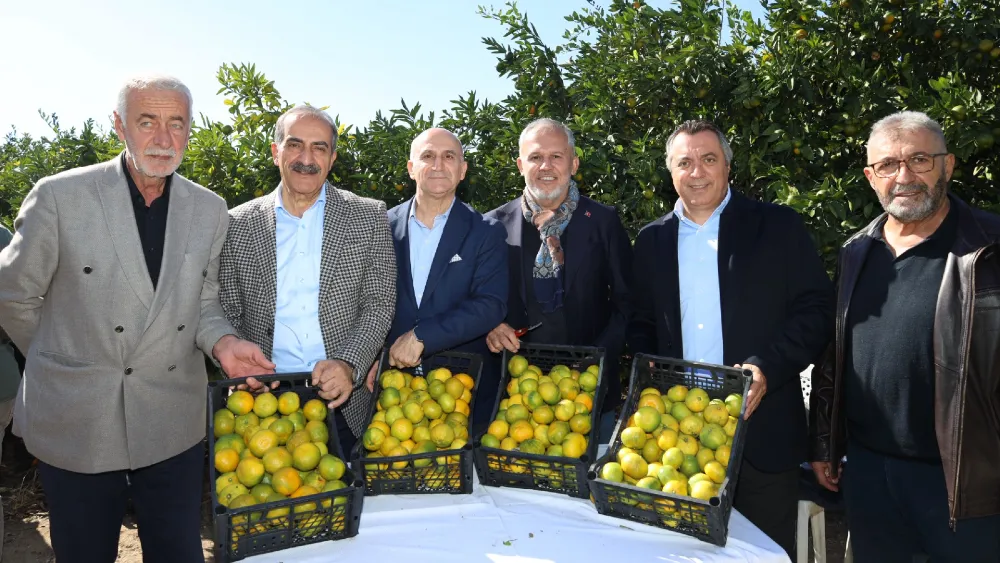 Satsumada rekolte iyi ama ihracatta yollar kapalı