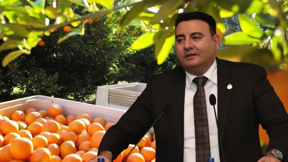 İzmir Ticaret Borsası Meclis Üyesi Erdinç İnan Yılmaz