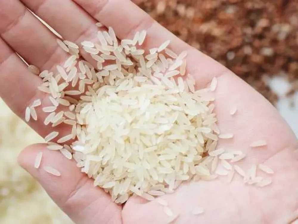 Pirinç ithalatı 13 kat arttı