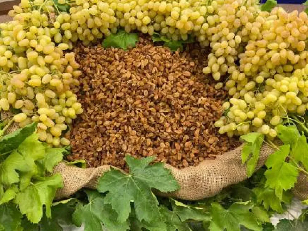 Üzümde alıcı kaçtı, ihracat tepetaklak düştü