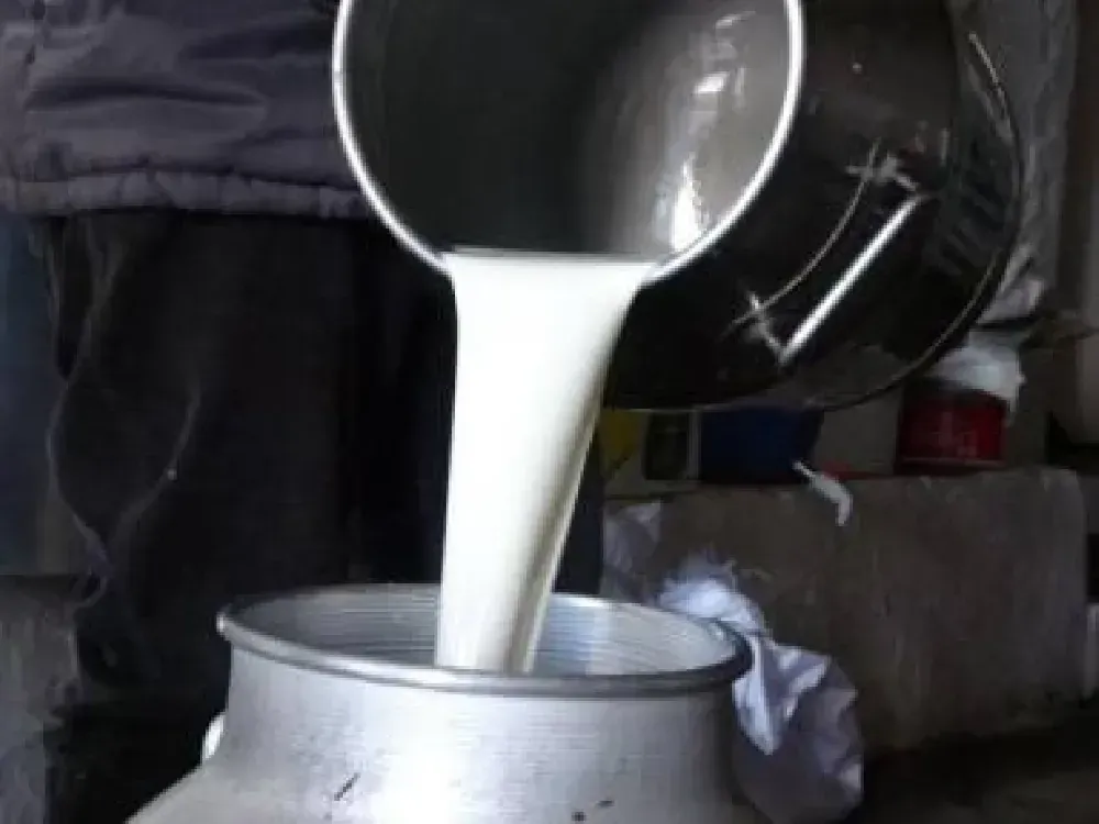 Üretici çiğ süt fiyatının açıklanmasını istiyor