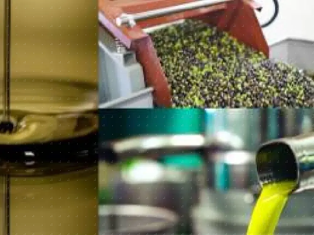 Zeytinde karasu kavgası... Başkan prinacıları çevre katliamı ile suçladı