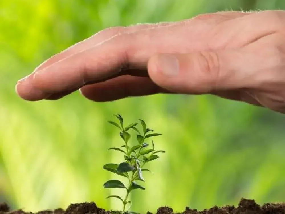 Tarımda ‘biyolojik’ konsorsiyum… 16 iş insanı Türkiye için birleşti