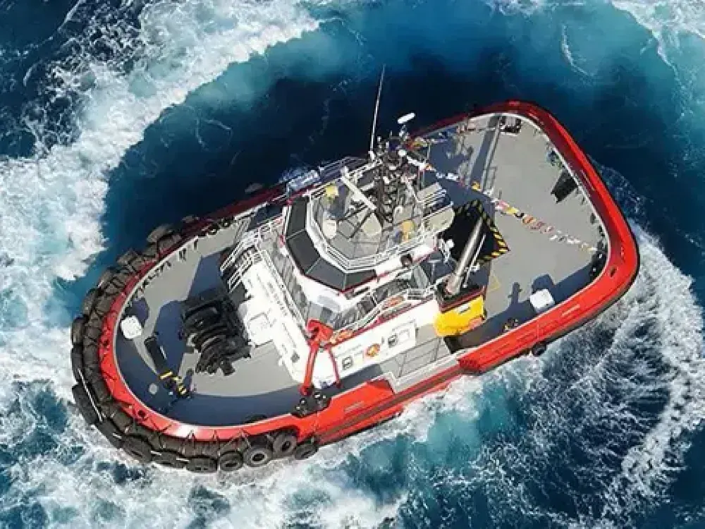 Aliağa'da İzmirli deve şok... Büyük ihaleyi Turkuaz kazandı...