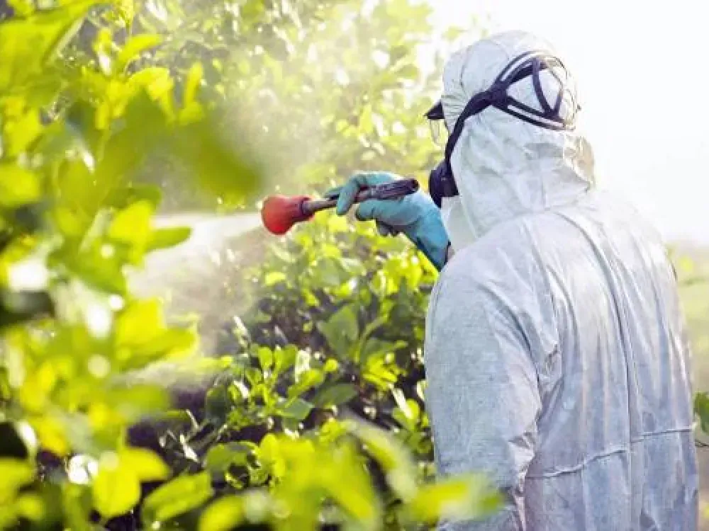 Milyonlarca euroluk gıda ürünü Avrupa kapısından geri döndü