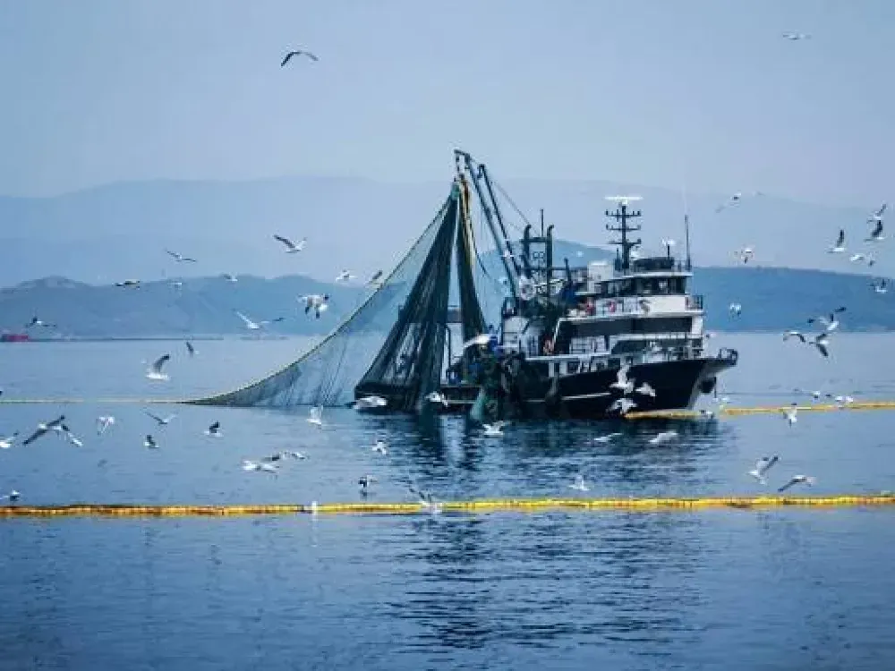 Denizlerde av yasağı 15 Nisan'da başlıyor