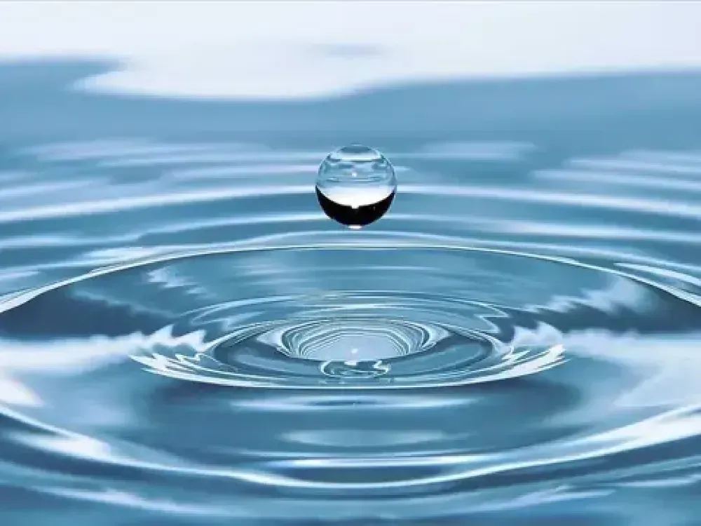 İzmir'de su yönetimi için zirve 