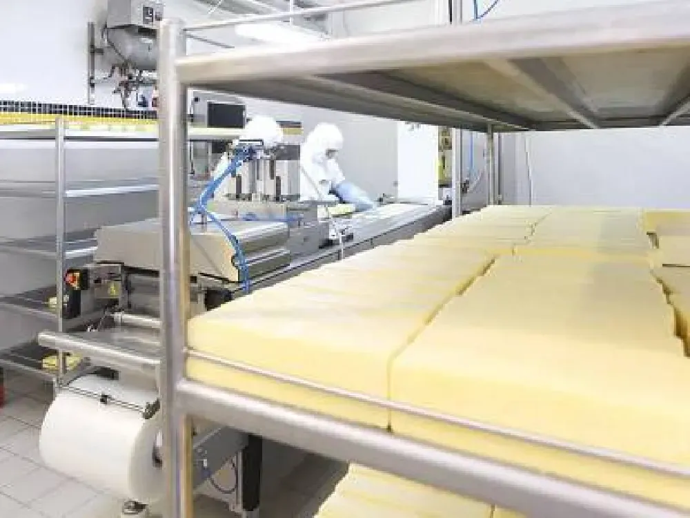 Sütte krize rağmen peynir fabrikasını altı kat büyütecek