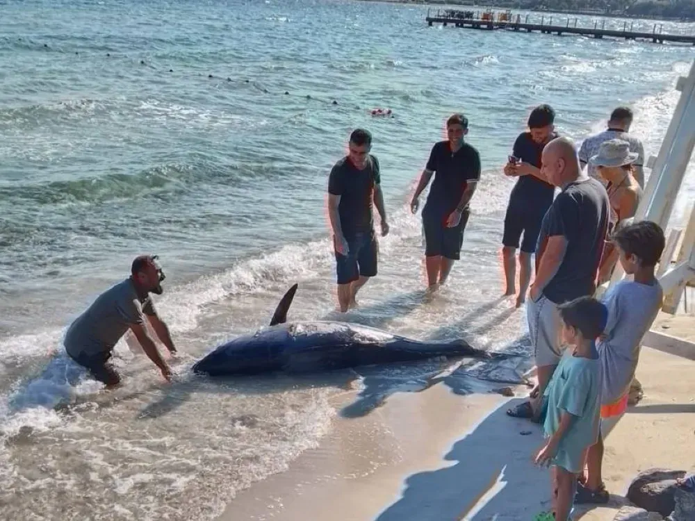 ‘İzmir Körfezi’ni mahvettik, bari Çeşme’yi kurtaralım’