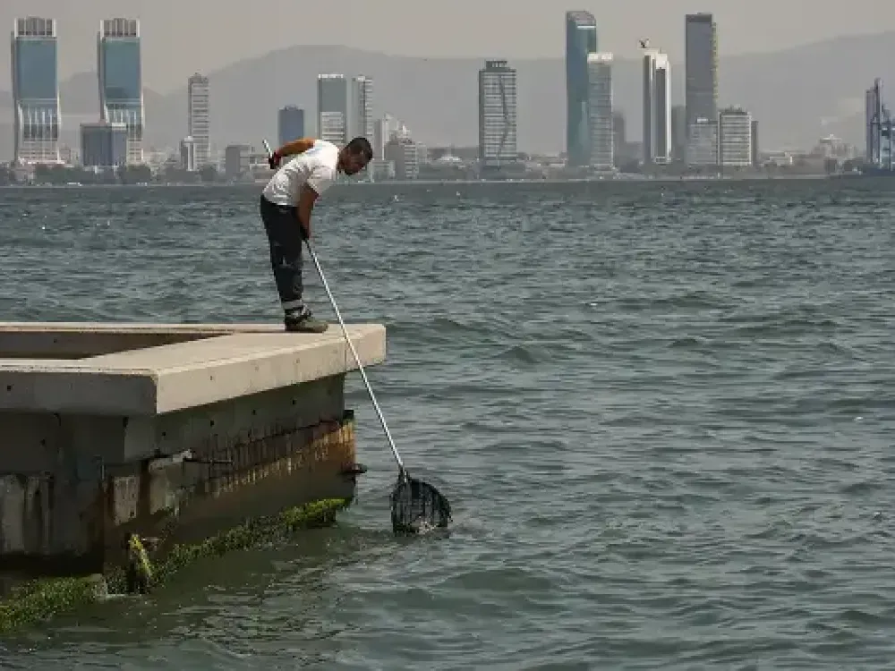 "Topuklayan Efe'ye 860 milyon TL veren devlet, Körfez'e 50 milyon TL bile vermemiştir"