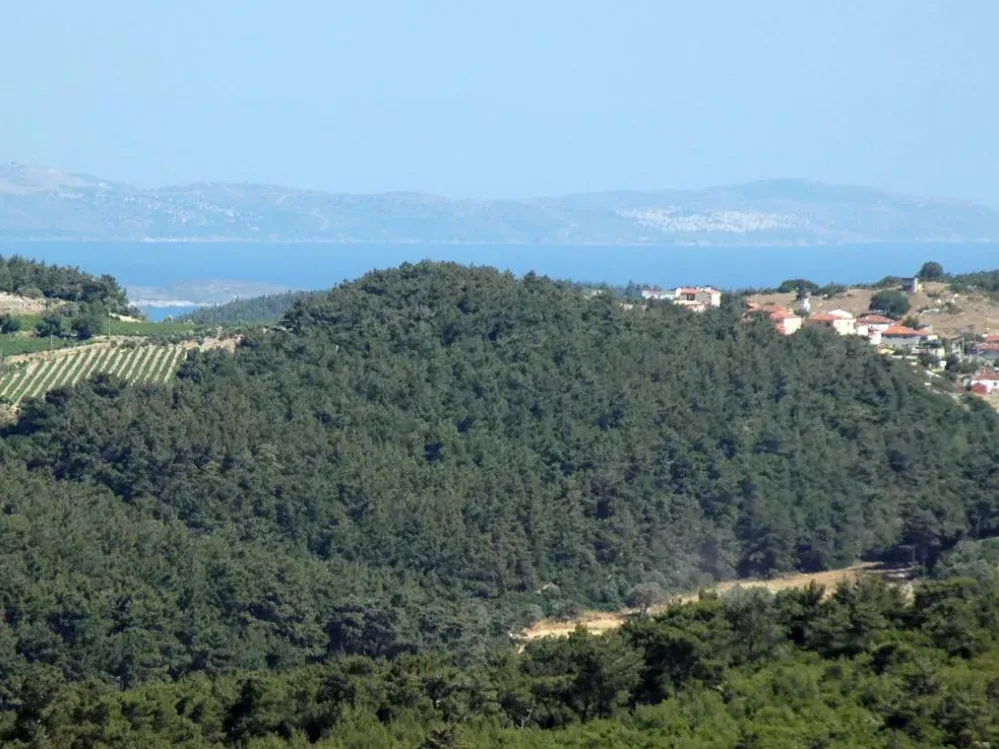 Urla'da bir ballı imar daha... Doğal koruma alanına 85 villa!