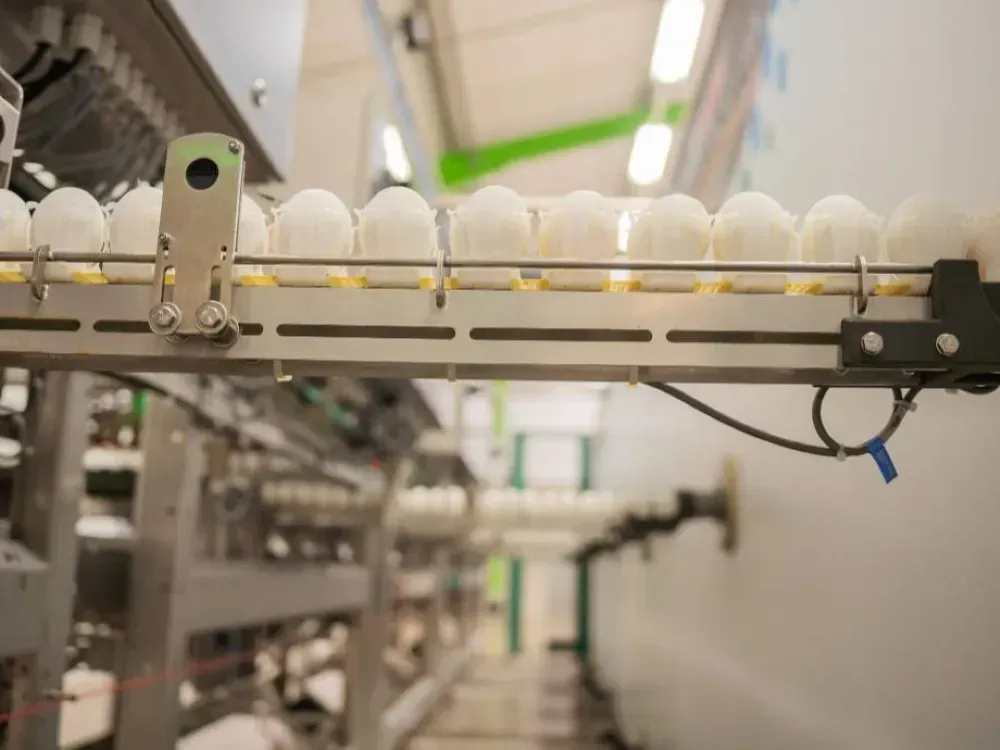 Beyaz et devinden Türkiye kararı... Ege'de üretip 80 ülkeye satacak