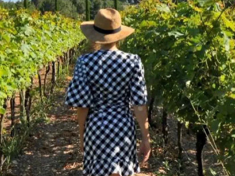 İzmir bağcılık mirasını koruyan Iter Vitis Rotası’na katıldı