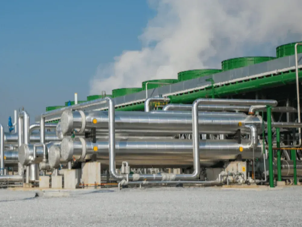 Çevrecilerin tepki gösterdiği dev holding JES yatırımını iptal etti