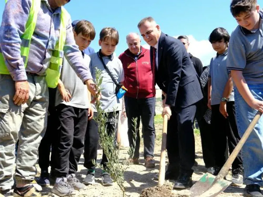 Milas’ta yeşil şölen… 4 bin zeytin fidanı daha toprakla buluştu…