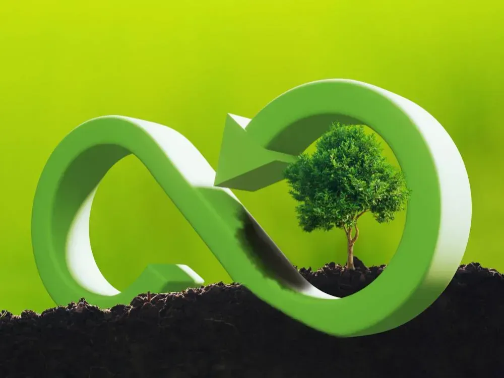 Yeşil dönüşüme ve kültürel projelere 20 milyon TL