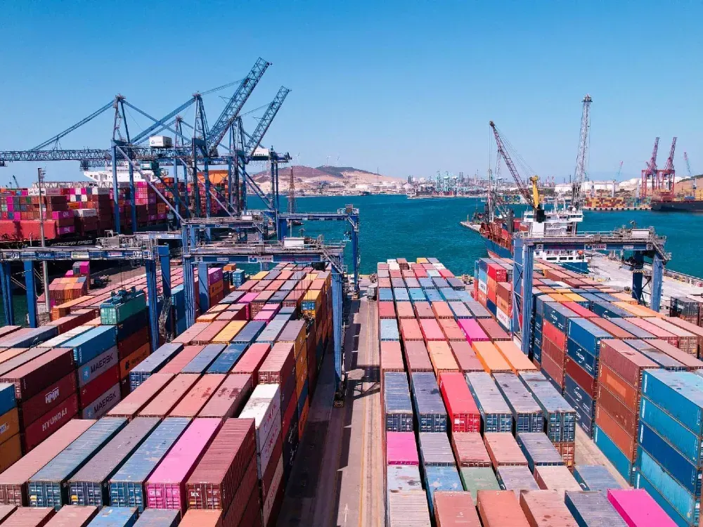 İzmir’in liman devinde kardeşler kılıçları çekti