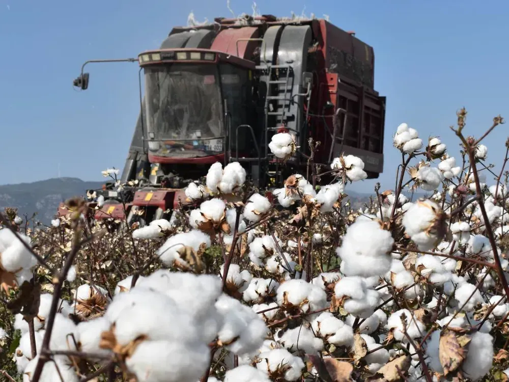 'Pamuk sektörü en kötü sezon başlangıcını yaptı'