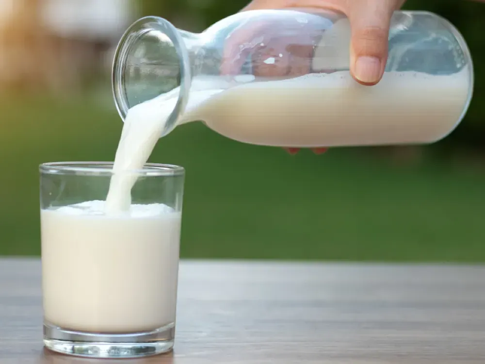 Süt devlerine şok soruşturma...Aralarında Pınar da var!