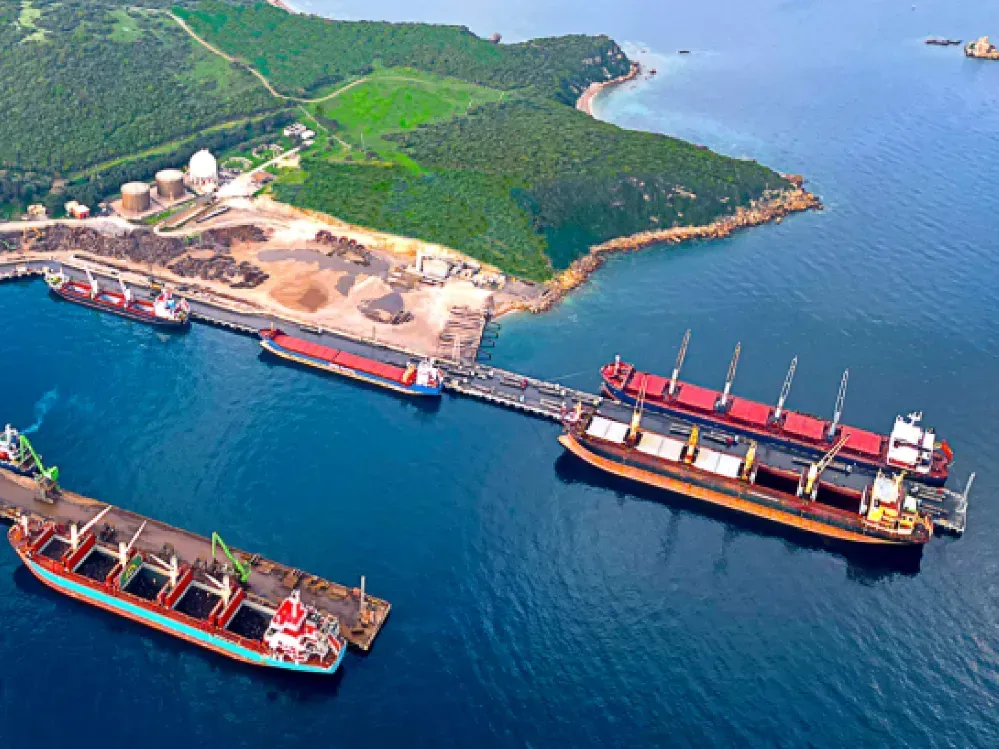 Dev sanayi grubu Aliağa'daki limanını büyütmek istiyor